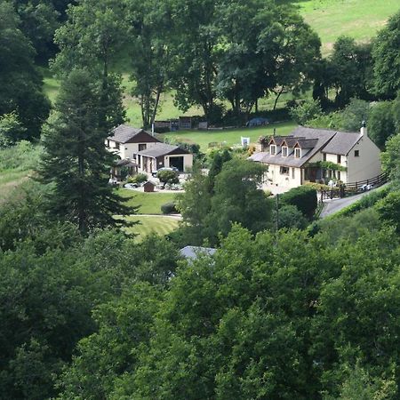 Ty Twt - Complete Holiday Home Llandysul Exteriör bild