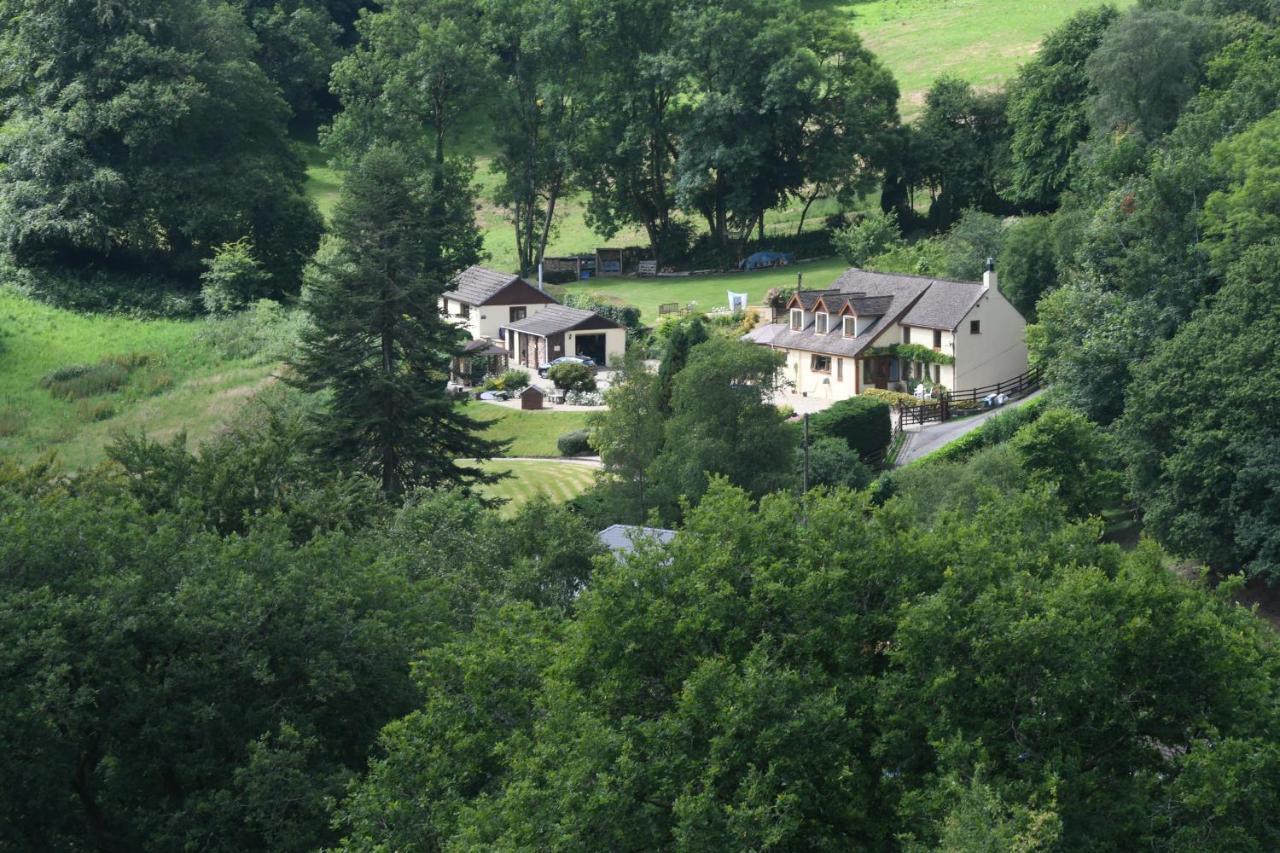 Ty Twt - Complete Holiday Home Llandysul Exteriör bild