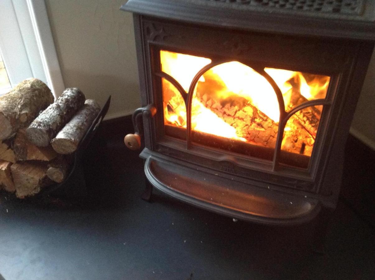 Ty Twt - Complete Holiday Home Llandysul Exteriör bild