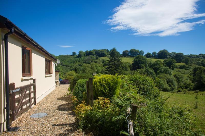 Ty Twt - Complete Holiday Home Llandysul Exteriör bild